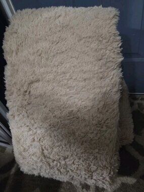 Fluffy Area Rug for Living Room 4x6 Feet, Shaggy Rugs for Bedroom Ultra Soft